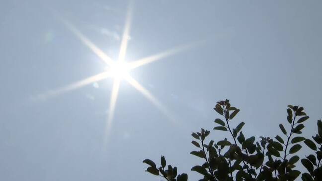 熱中症、最も発症多いのは”家の中”特に「夕方」は危険 熱こもり湿度も高く 発汗せず水分失う”不感蒸泄”も|TBS NEWS DIG