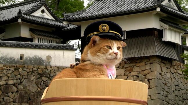 備中松山城の猫城主「さんじゅーろー」が一日警察署長 山間部の事故に備え救助訓練も【岡山】|TBS NEWS DIG