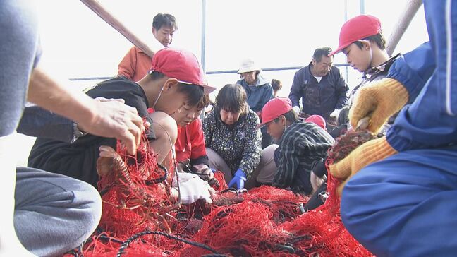 伊勢エビの｢刺し網漁｣を小学生が体験  40キロの伊勢エビを水揚げし…児童らは｢楽しかった｣｢いい体験になった｣ 三重･志摩市|TBS NEWS DIG