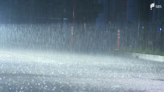 台風15号 静岡県内には5日夕方最接近 昼過ぎにかけ雨、風強まる 倒木で交通規制も|TBS NEWS DIG