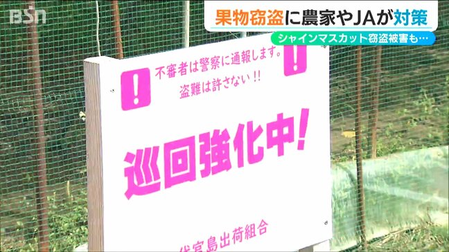 過去にはシャインマスカット100房 ナシ100キロの被害も…　果実の盗難防げ！盗難対策の看板設置　新潟・三条市|TBS NEWS DIG
