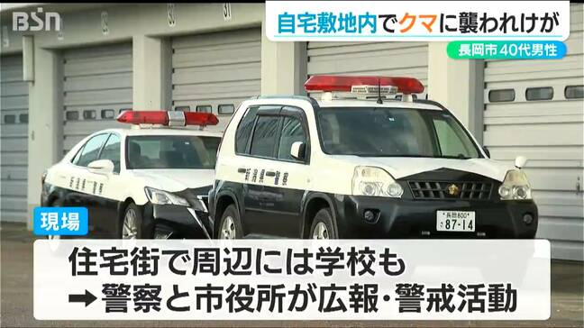 自宅敷地内で1.3mのクマに襲われる 命に別状なしも左脇腹にすり傷 新潟県長岡市|TBS NEWS DIG