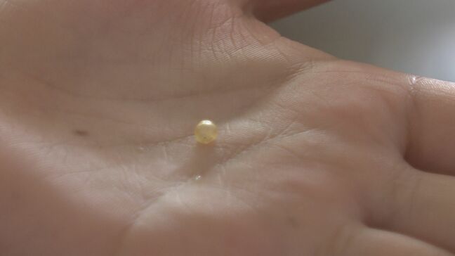 「思った以上にプラスチックごみが多かった」海のごみを調べる出前授業|TBS NEWS DIG