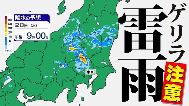 【東京首都圏 ゲリラ雷雨注意】警報級大雨のおそれ  気象庁「大雨情報」を詳しく【雨と発雷確率のシミュレーション２０日（水）～２１日（木）】東京・神奈川・埼玉・千葉・群馬・栃木・茨城|TBS NEWS DIG