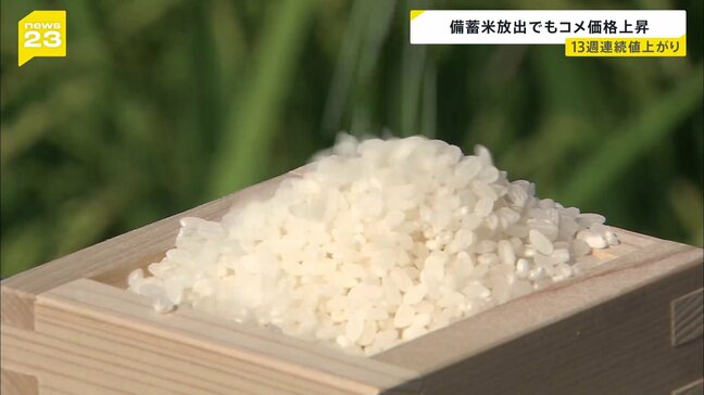 止まらない価格上昇 コメの平均価格が5キロあたり4206円に 13週連続の値上がり去年の2倍以上|TBS NEWS DIG