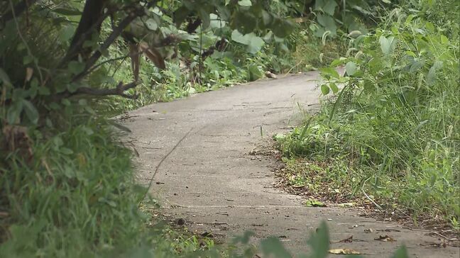 クマに襲われ70代女性が重傷 喜多方市山都町で被害相次ぐ 福島|TBS NEWS DIG