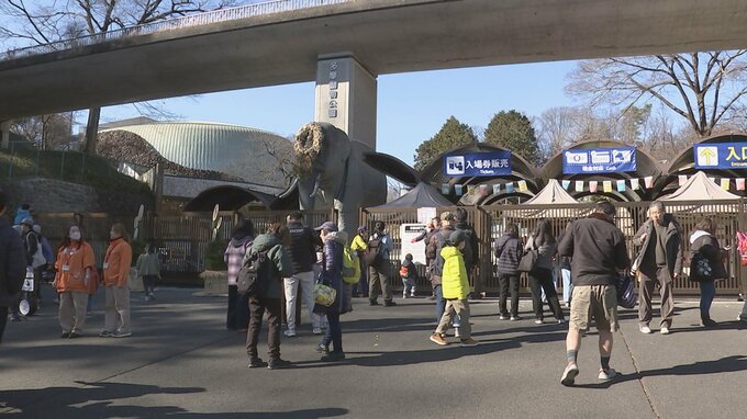 多摩動物公園がオオカミ脱走の原因公表 飼育エリアの壁に生えた植栽を伝うなどして擁壁を飛び越えたか　来月2日から通常通り開園　東京・日野市|TBS NEWS DIG