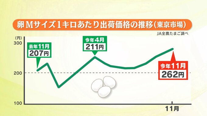 【解説】“物価の優等生”がなぜ高騰？卵の価格推移と今後の見通し　農水相は「年明けには低下」　|　福島のニュース│TUF