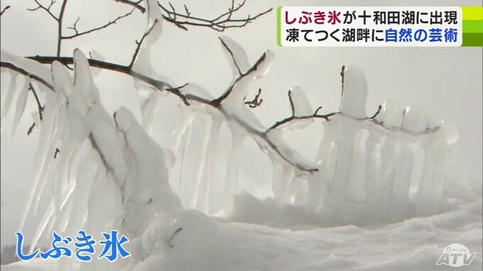 真冬の十和田湖畔が幻想的な“氷の世界”に　厳寒が生み出す自然の芸術「しぶき氷」　全国的にも珍しい現象　青森県十和田市　|　青森のニュース│ATV NEWS│青森テレビ