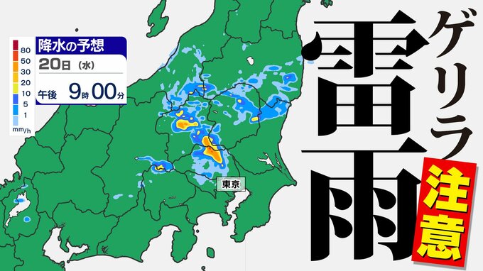 【東京首都圏 ゲリラ雷雨注意】警報級大雨のおそれ  気象庁「大雨情報」を詳しく【雨と発雷確率のシミュレーション２０日（水）～２１日（木）】東京・神奈川・埼玉・千葉・群馬・栃木・茨城　|　鹿児島のニュース｜MBC NEWS｜南日本放送