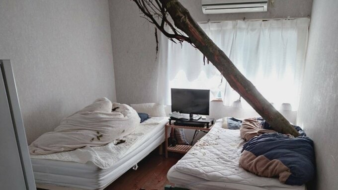 【速報】倒木が住宅の屋根を突き刺しベッドを直撃　あわや！「びっくりした、数センチずれてたら当たっていた」住民にケガ無し　和歌山・白浜町　|　MBSニュース | 関西の最新ニュースを分かりやすく。