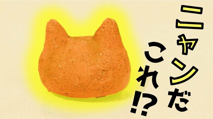 かわいすぎる！縄文時代の“ネコ形”出土品　愛称募集に約3500件、海外からも　結果は2月22日（猫の日）発表！|TBS NEWS DIG