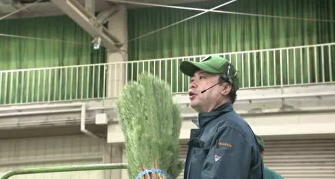 新年の準備進む  正月飾りの「松市」|TBS NEWS DIG
