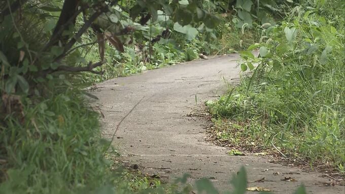 クマに襲われ70代女性が重傷　喜多方市山都町で被害相次ぐ　福島|TBS NEWS DIG
