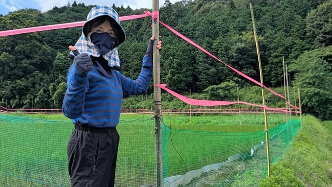 【磯野貴理子】　「防獣ネットはりました」イノシシの巣発見で緊急対策　田んぼ防衛作戦と有機栽培の取り組みを報告|TBS NEWS DIG