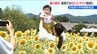 猛暑のなかで涼しげな『白いヒマワリ』4000本が見頃【国営越後丘陵公園】新潟県内は13日に5地点で今年の最高気温を観測　|　新潟のニュース・天気｜BSN NEWS｜BSN新潟放送