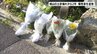 松山城・城山の土砂崩れから2年 現場で3人を追悼 復旧工事完了も「まだ何も終わっていない」住民と市の溝埋まらず　|　愛媛のニュース - Nスタえひめ｜あいテレビは6チャンネル