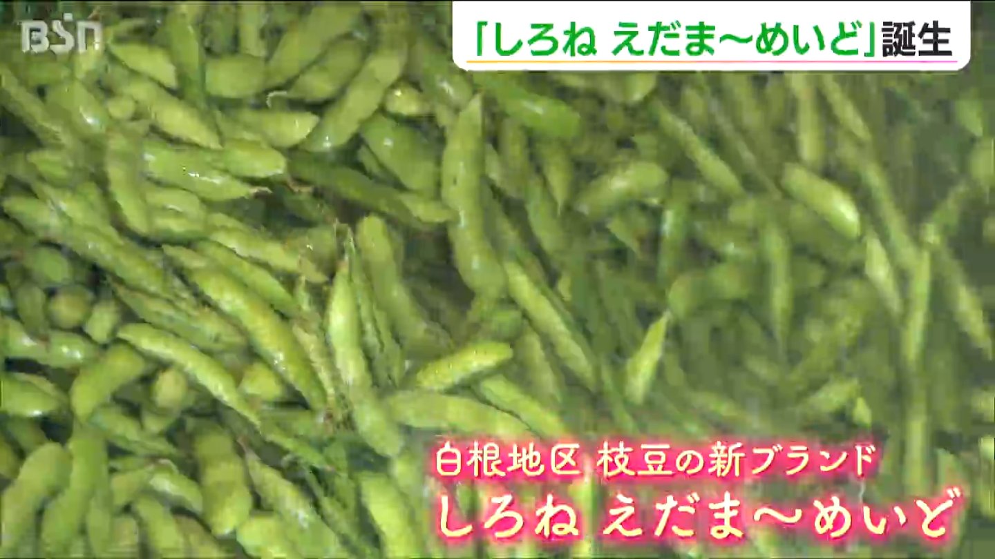 みずみずしき枝豆のマーメイド 新ブランド『しろねえだま～めいど』初