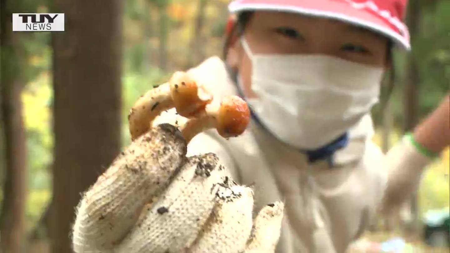 まるで宝探し 子どもたちが育てた キラキラ ぬめぬめ 採った児童は お味噌汁が好き Tbs News Dig まるで宝探し 子どもたちが育てた キラキラ ぬめぬめ 採った児童は お味噌汁が好き Tbs News Dig