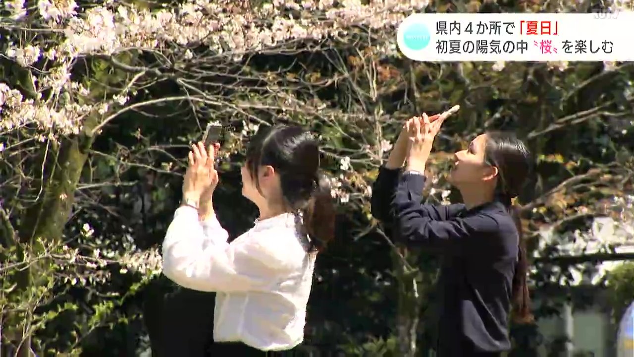 「花より団子、至福の時ですね」高知県内４か所で“夏日”　初夏の陽気の中“桜”を楽しむ
