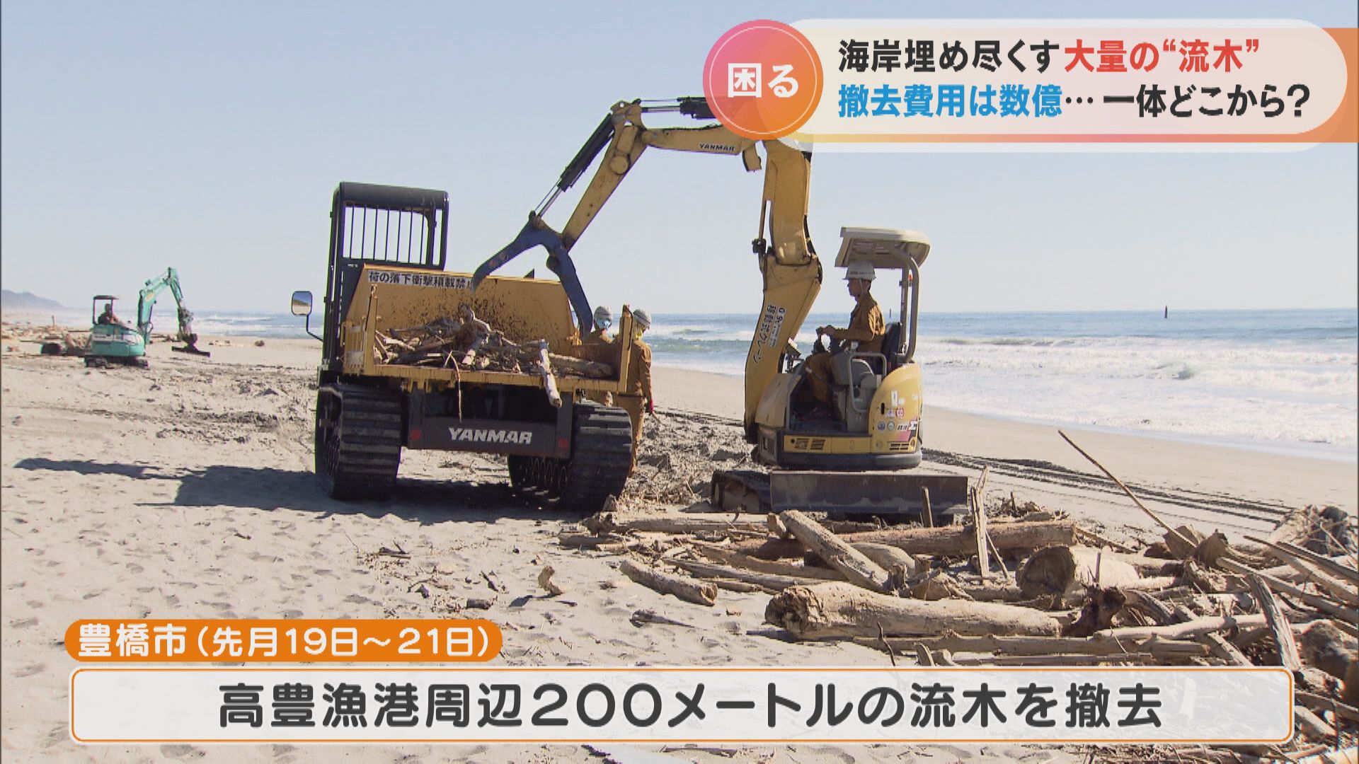 地元の海から取れました少し大きめの流木です！ 地元の海から取れました少し大きめの流木です！