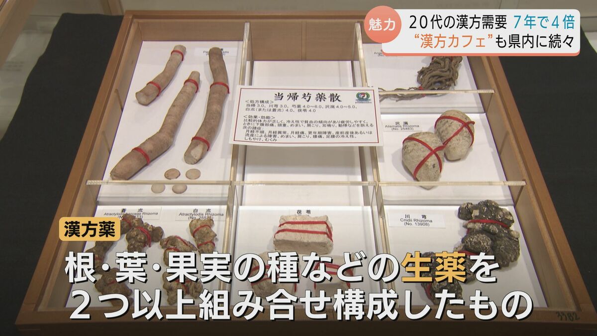 漢方はスープ」 液体状の“煎じ薬”で本来の効果を発揮！7年で4倍に