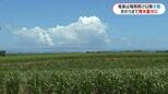 奄美大島は少雨　今月は21日まで降水量ゼロ|TBS NEWS DIG