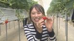ゴールデンウィークはイチゴ狩り！SNS投稿でプレゼントも　福島|TBS NEWS DIG