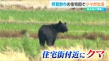 住宅街にクマ「川沿いを歩いているのを見た 1m~1m50cmくらい」猟友会が麻酔銃でクマを捕獲 新潟・阿賀野市|TBS NEWS DIG