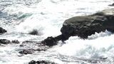 【台風7号】16日に静岡県に最接近か漁港では船の固定「どれだけの台風来るか、予測つかない」=静岡・下田市 | 静岡のニュース | SBSNEWS | 静岡放送