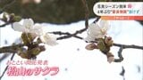 花見シーズン目前！今年は4年ぶり“宴会制限”設けず 愛媛|TBS NEWS DIG