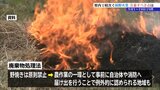 「山に入る人が多くなる時期」は要注意　相次ぐ林野火災　野焼き以外たばこの火の不始末も要因　防火のポイントは？　岩手　　|　IBC NEWS | IBC岩手放送