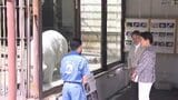 60年ぶりの植樹祭で愛媛へ 両陛下が県民やホッキョクグマ「ピース」などと刻まれた温かな時間|TBS NEWS DIG