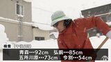 青森県青森市 積雪一時95センチに 30日朝まで雪による交通障害や低温に注意を | 青森のニュース│ATV NEWS│青森テレビ