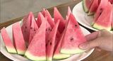 お待ちかね夏の味! “スイカの名産地”松本市波田でハウス栽培のスイカを初出荷 (長野)|TBS NEWS DIG