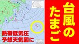 【台風のたまご】また次の“熱帯低気圧”が日本のはるか東の海上で発生へ 気象庁発表の予想天気図に現る 海面水温高く今後、発達するか注視 | 熊本のニュース|RKK NEWS|RKK熊本放送