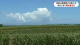 奄美大島は少雨　今月は21日まで降水量ゼロ|TBS NEWS DIG
