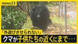 保育園のそばにもクマ出没「外遊びは一切させていません」各地で出没増加の影響広がる…毎年恒例“イチョウ並木のライトアップ”今年は中止【news23】|TBS NEWS DIG