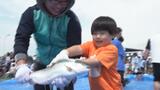 旬を迎えた海峡サーモンをつかみ取りに一本釣り！大畑海峡サーモン祭り賑わう　青森・むつ市　|　青森のニュース│ATV NEWS│青森テレビ