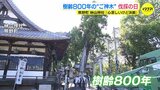 「心苦しいが決断した」樹齢800年の「ご神木」を伐採　広島･熊野町の神社|TBS NEWS DIG