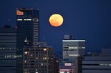 17日夜は一年で最も大きな満月「スーパームーン」 晴れて見られる所は? tbc気象台|TBS NEWS DIG
