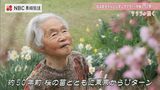 「桜は命みたいなもんですよ」夫婦で営むキャンプ場の春　樹齢 約50年の枝垂れ桜【サクラ咲く】　|　長崎のニュース | 天気 | NBC長崎放送