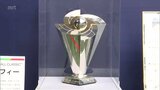 プロ野球 ファーム日本選手権でWBCの優勝トロフィーを公開|TBS NEWS DIG