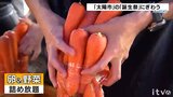 詰め放題は真剣勝負! JA産直市「太陽市(おひさまいち)」 誕生祭 | 愛媛のニュース - Nスタえひめ|あいテレビは6チャンネル