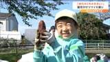 小さな手で頑張って掘り起こした「めちゃ重い!サツマイモ」 早く焼いて食べたいな 仙台|TBS NEWS DIG