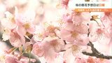 大分の「桜」開花予想19日、満開28日 | 大分のニュース|OBS NEWS|大分放送