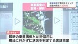 調査時間を最大4割削減　衛星画像とAIで農地の作付け状況を確認　宮崎県の実証事業で成果|TBS NEWS DIG