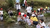 少雨で渇水のアユ漁に光明 高知・鏡川上流で児童23人が稚魚放流 | 高知のニュース・天気|KUTV NEWS | KUTVテレビ高知