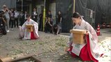 櫛田神社で「ぎなん落とし」 猛暑の影響で収穫した銀杏は例年の半分以下に | 福岡のニュース|RKB NEWS|RKB毎日放送