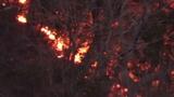 「ごみを燃やしていて燃え移った」 大三島で山火事 ヘリ出動し消火活動も延焼続く【愛媛】 | 愛媛のニュース - Nスタえひめ|あいテレビは6チャンネル